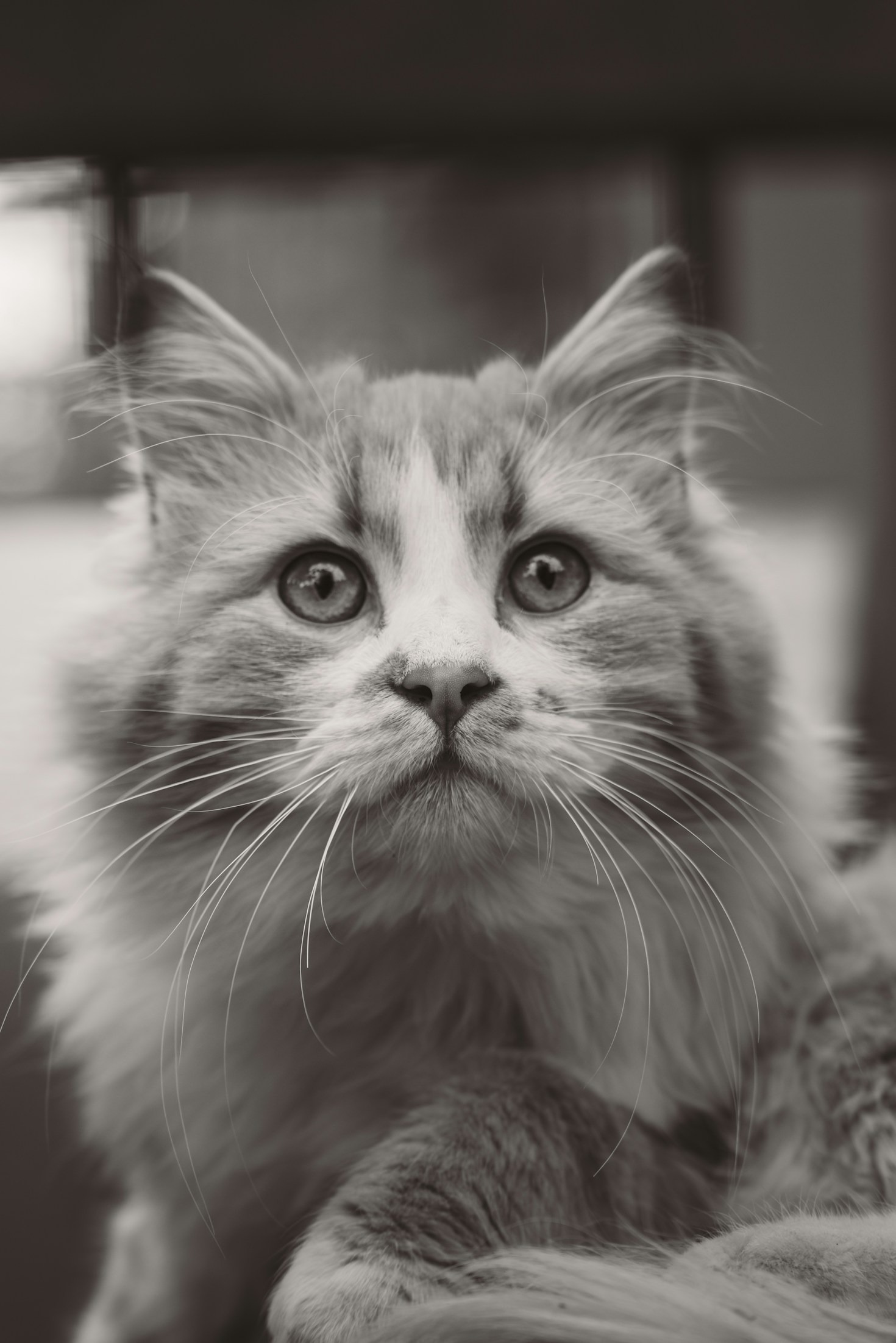 Secrets of Ozzy’s Adorable Charm